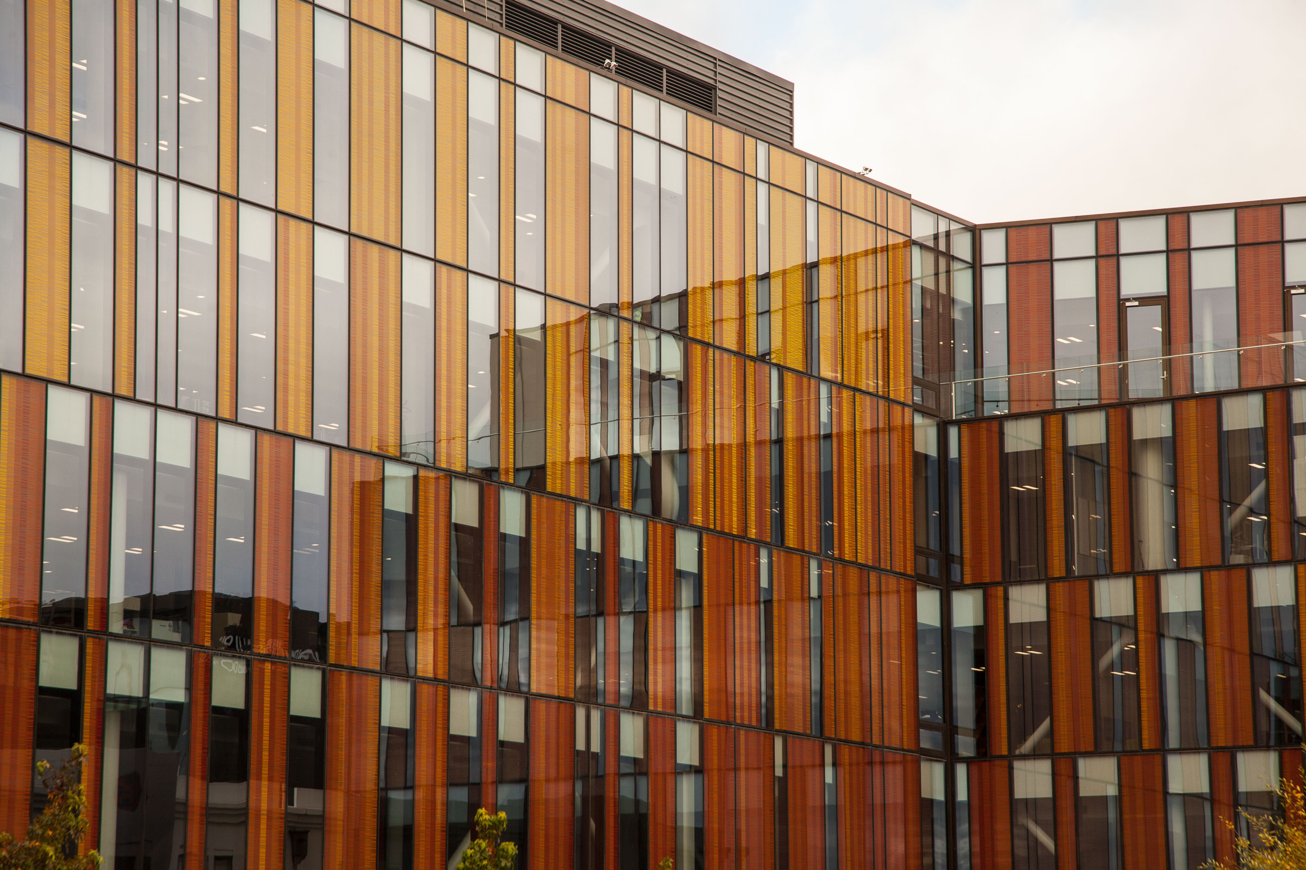 Glass canopied building with a striking wood patterns
