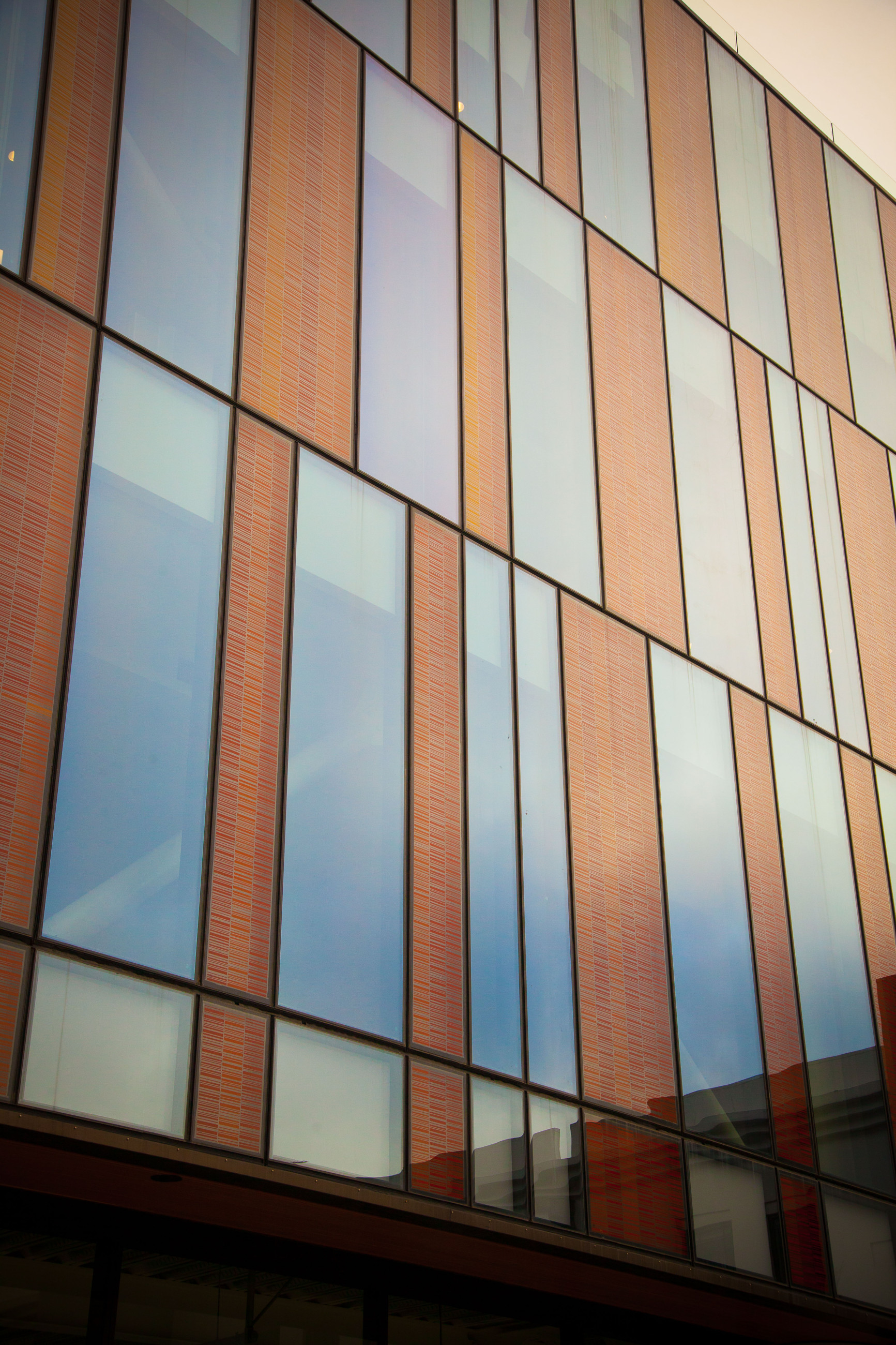 Glass-canopied building accented with striking wood patterns for a natural aesthetic