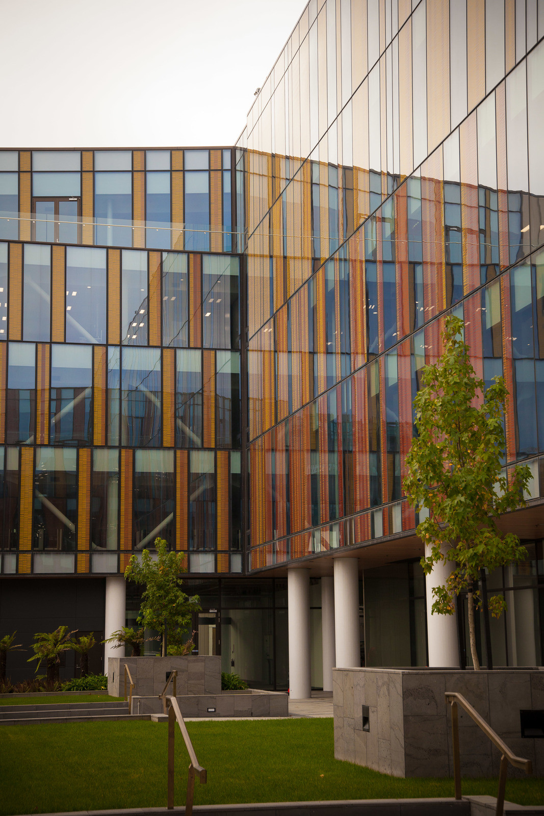 Modern Christchurch building with metro glass windows