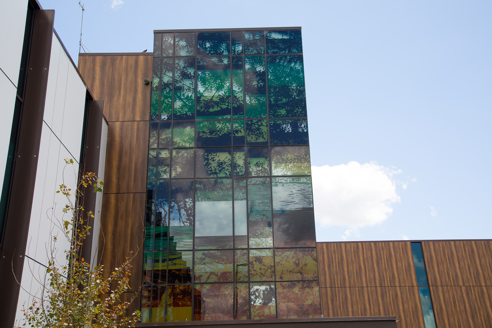 Decorative glass patterned exterior with intricate patterns next to wooden and white panels