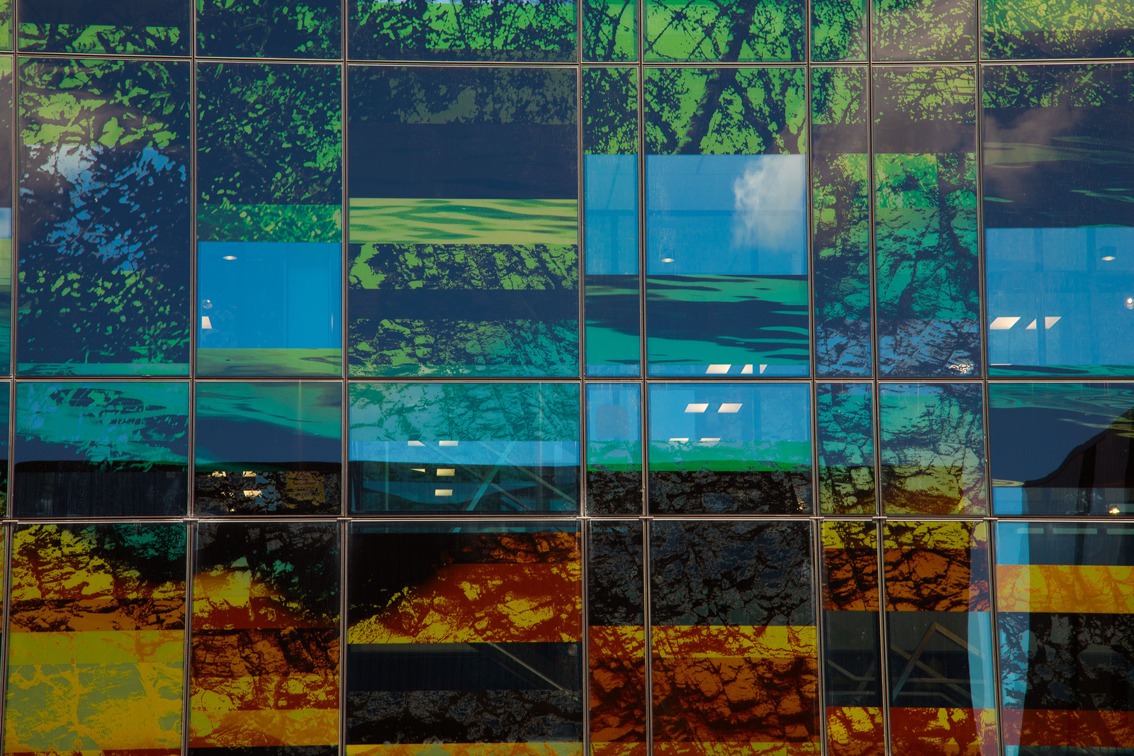 Patterned glass window panels with tree forest design, adding a decorative touch to the exterior
