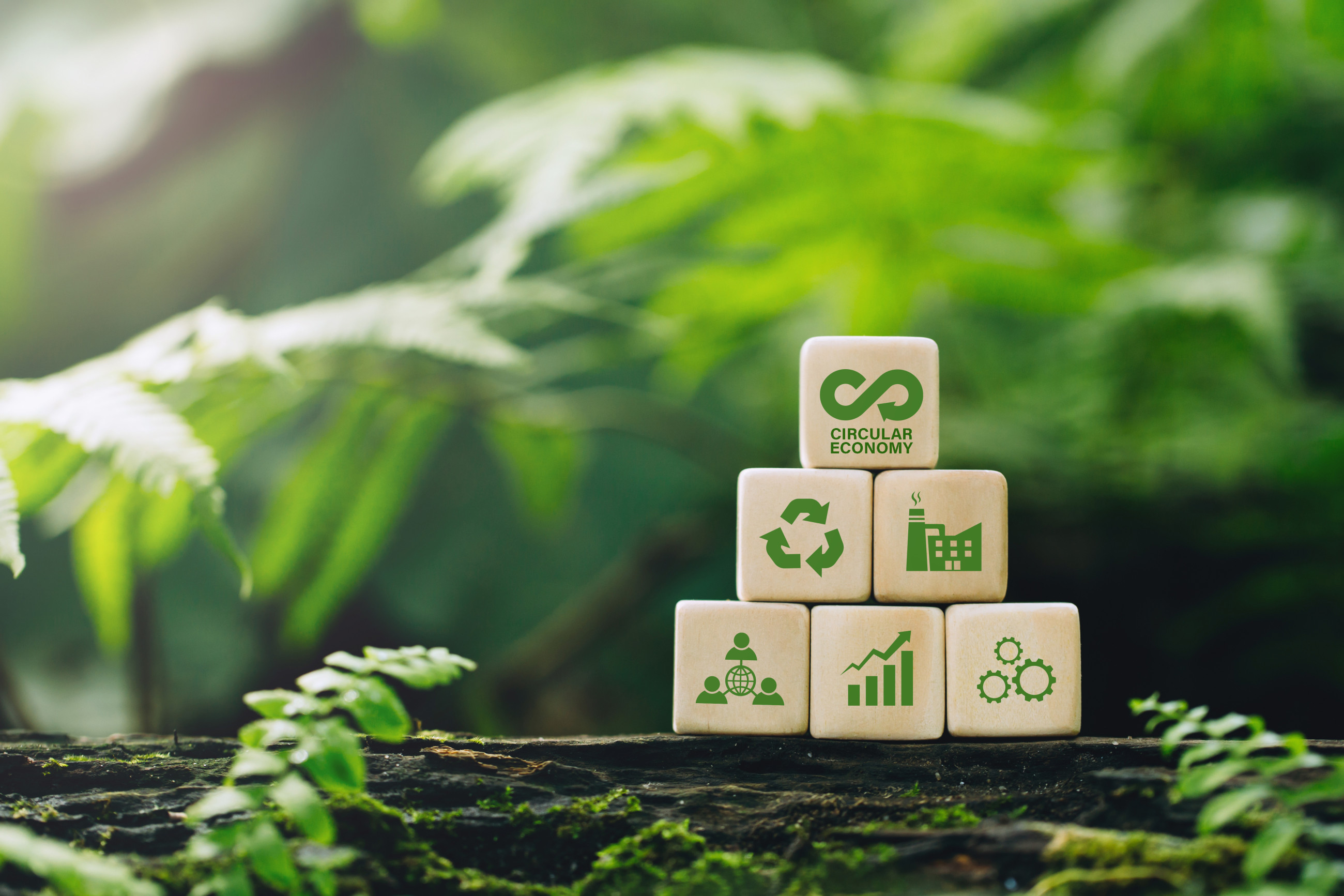 Symbols on blocks surrounded by greenery in bush scene