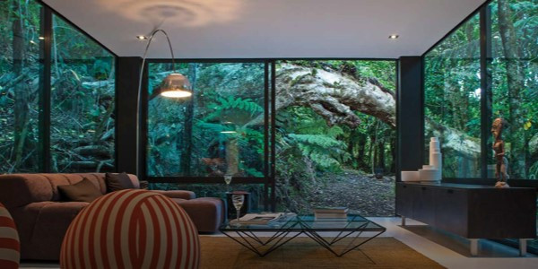 Jungle view from living room with large window, glass windows and sliding door in forest